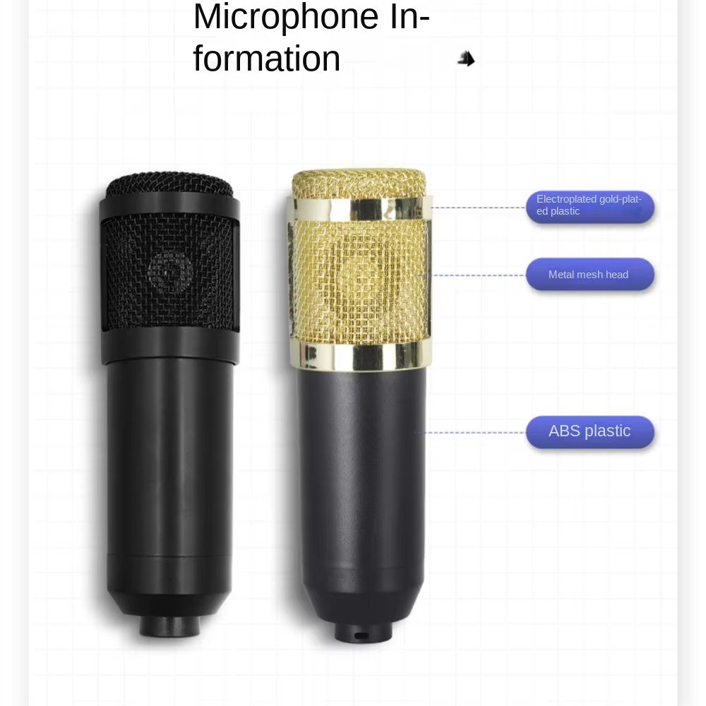 Micro Studio BM800 + Carte Son V8