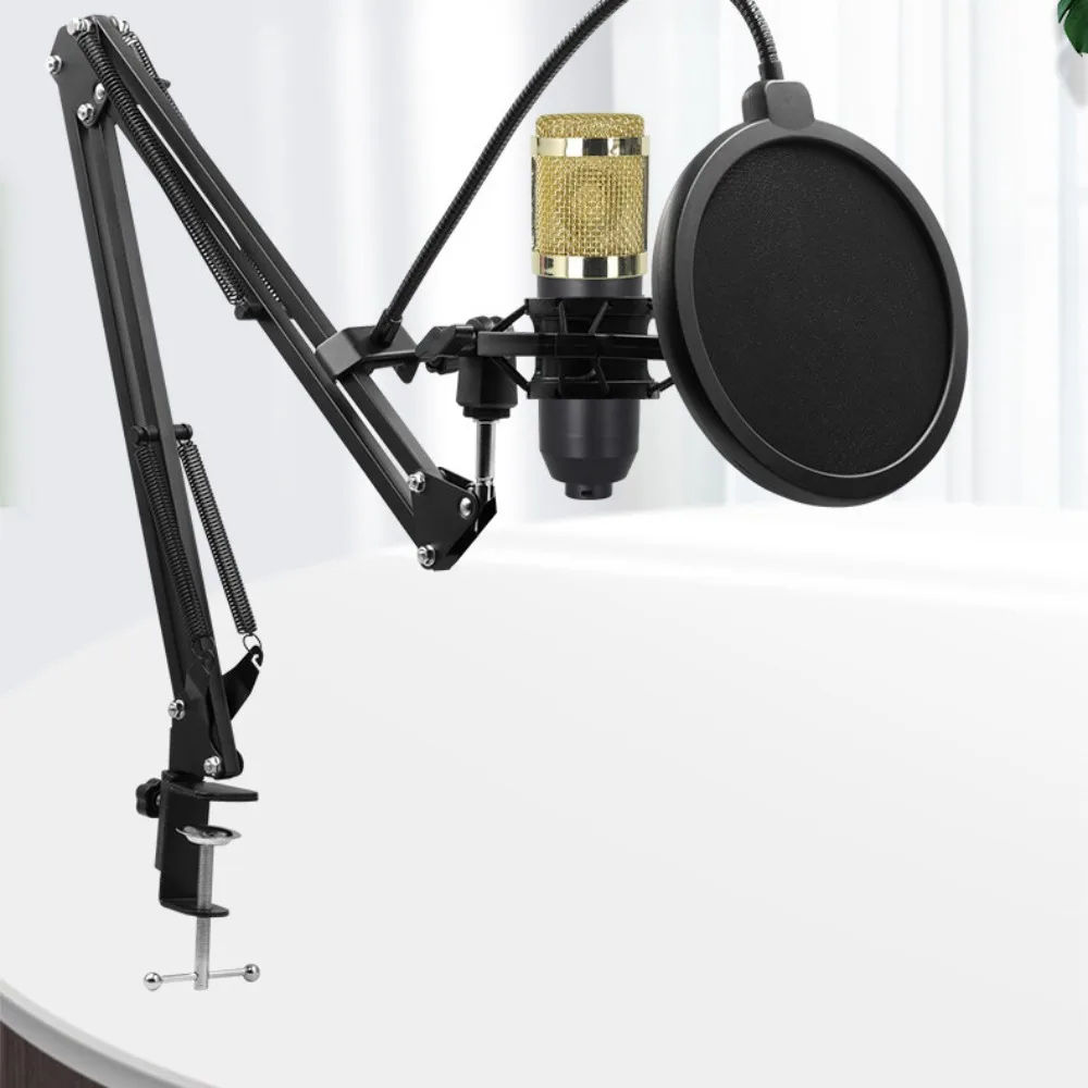 Micro Studio BM800 + Carte Son V8